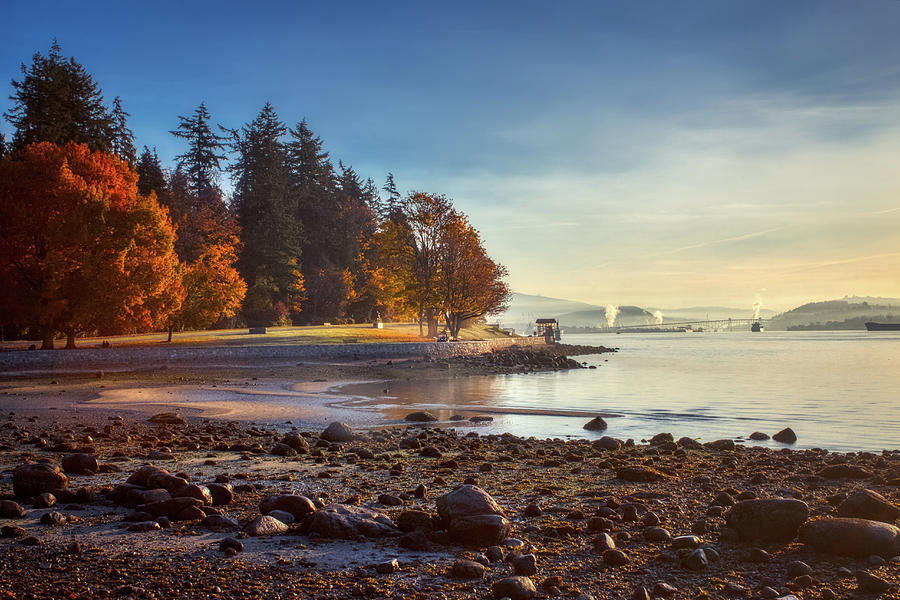 Colorful Autumn Foliage at Stanley Park Photograph by Andy Konieczny