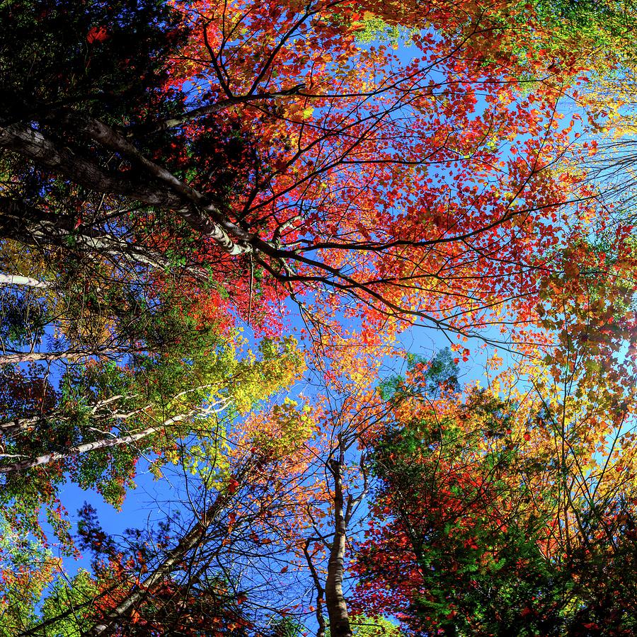 Colorful Autumn in New Hampshire by OLena Art - Lena Owens Colorful Autumn in New Hampshire by OLena Art - Lena Owens