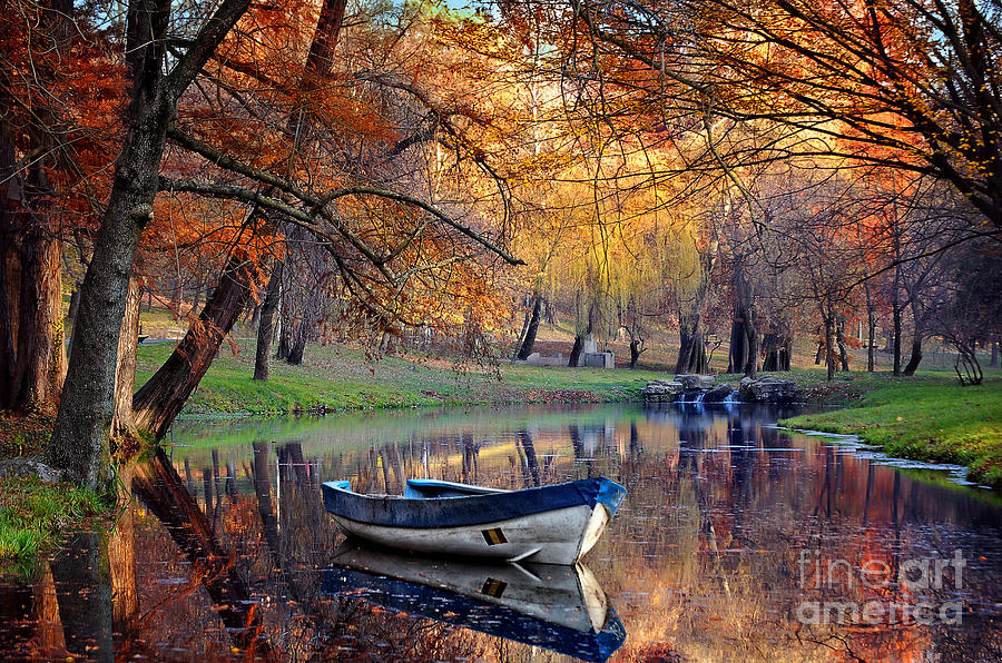 Beauty Photograph - Colorful Autumn Landscapenature by Iancu Cristian Beauty Photograph - Colorful Autumn Landscapenature by Iancu Cristian