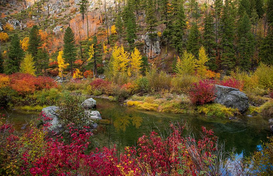 Colorful Autumn Photograph by Lynn Hopwood