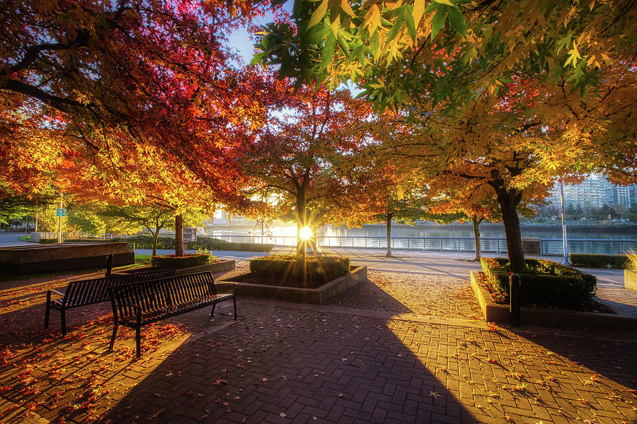 Colorful Autumn Morning at Coopers Park Photograph by Andy Konieczny