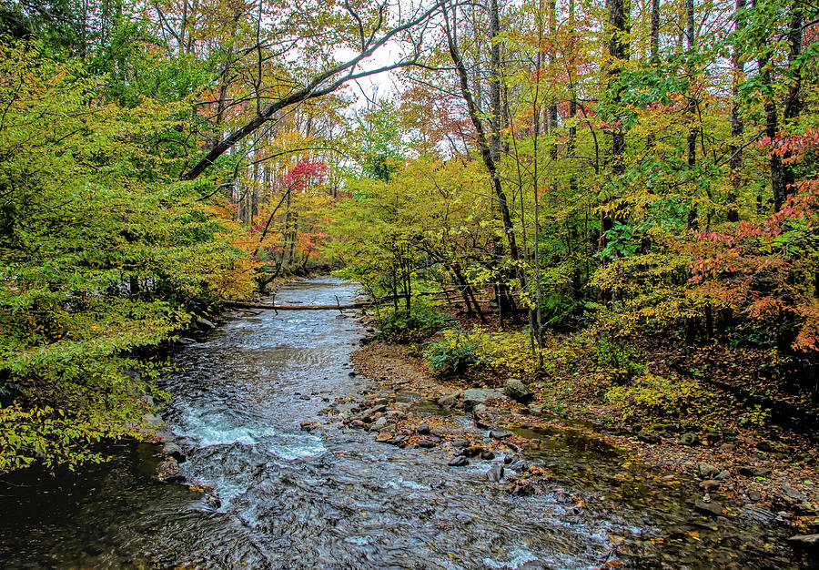 Colorful Autumn River Flow by Claire Turner Colorful Autumn River Flow by Claire Turner
