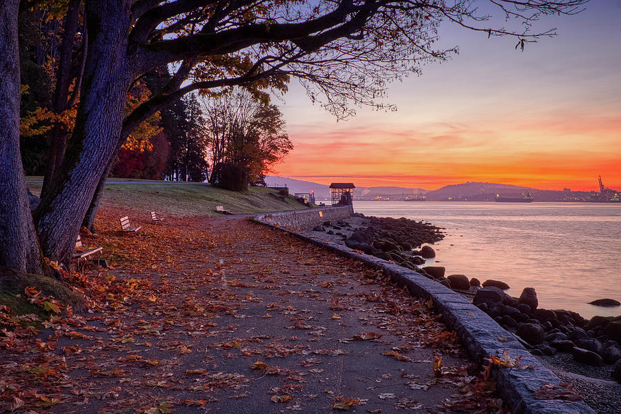 Colorful Autumn Sunrise at Stanley Park Photograph by Andy Konieczny