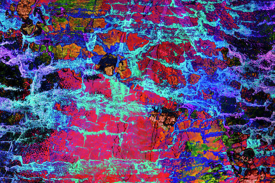Abstract Photograph - Colorful Bark 04 by Anita Vincze
