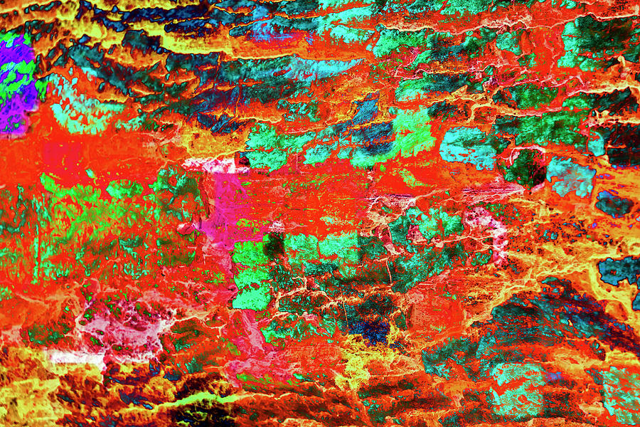 Abstract Photograph - Colorful Bark 06 by Anita Vincze