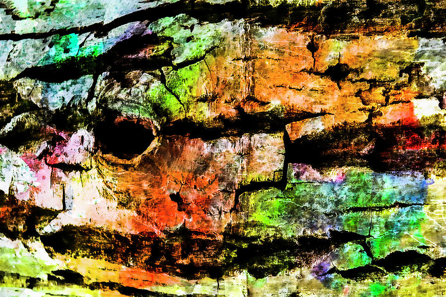 Abstract Photograph - Colorful Bark 09 by Anita Vincze