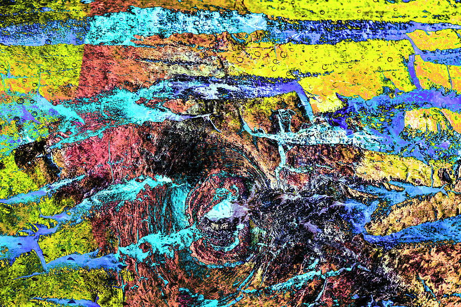 Abstract Photograph - Colorful Bark 11 by Anita Vincze