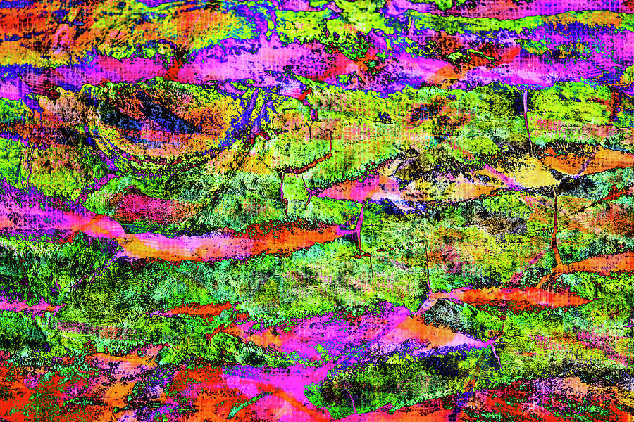 Abstract Photograph - Colorful Bark 12 by Anita Vincze