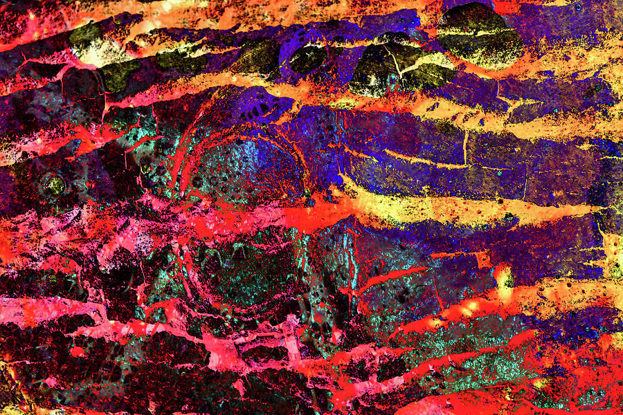 Abstract Photograph - Colorful Bark 13 by Anita Vincze