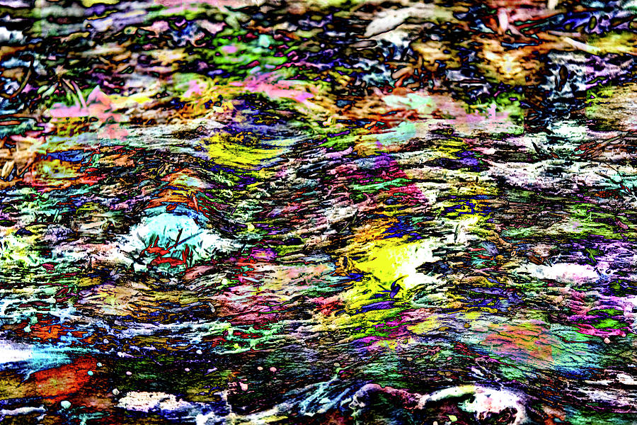 Abstract Photograph - Colorful Bark 16 by Anita Vincze