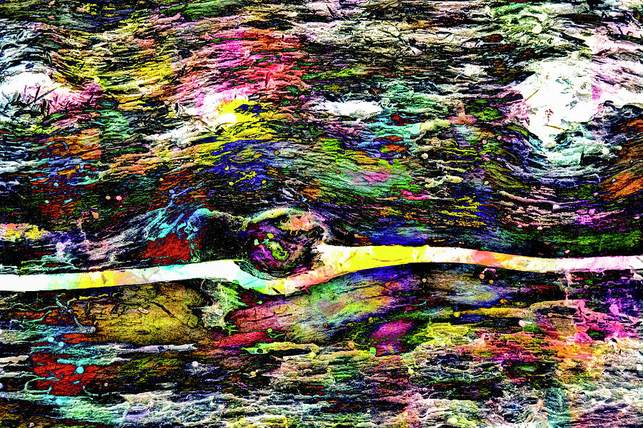 Abstract Photograph - Colorful Bark 17 by Anita Vincze