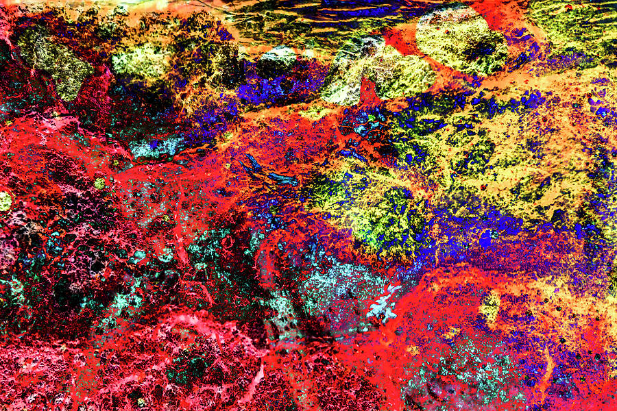 Abstract Photograph - Colorful Bark 20 by Anita Vincze