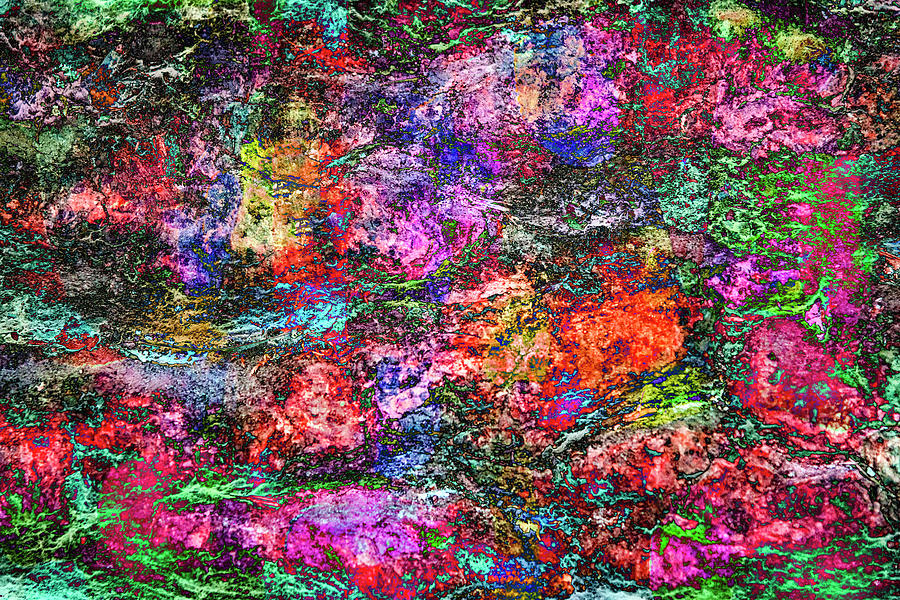Abstract Photograph - Colorful Bark 22 by Anita Vincze