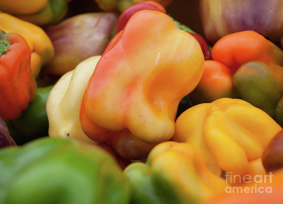 Colorful Bell peppers Photograph by Christy Garavetto