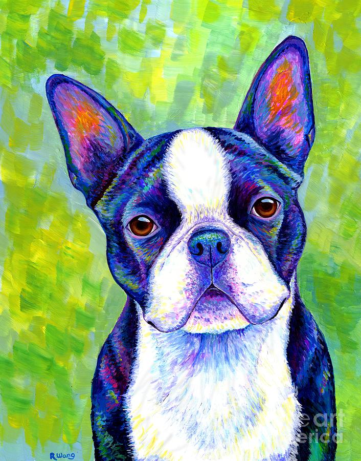 Effervescent - Colorful Boston Terrier Dog by Rebecca Wang Effervescent - Colorful Boston Terrier Dog by Rebecca Wang