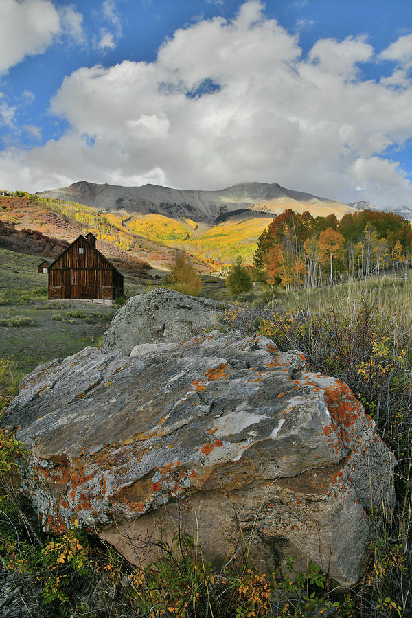 Colorful Boulder and Aspens along Airport Road near Telluride Photograph by Ray Mathis