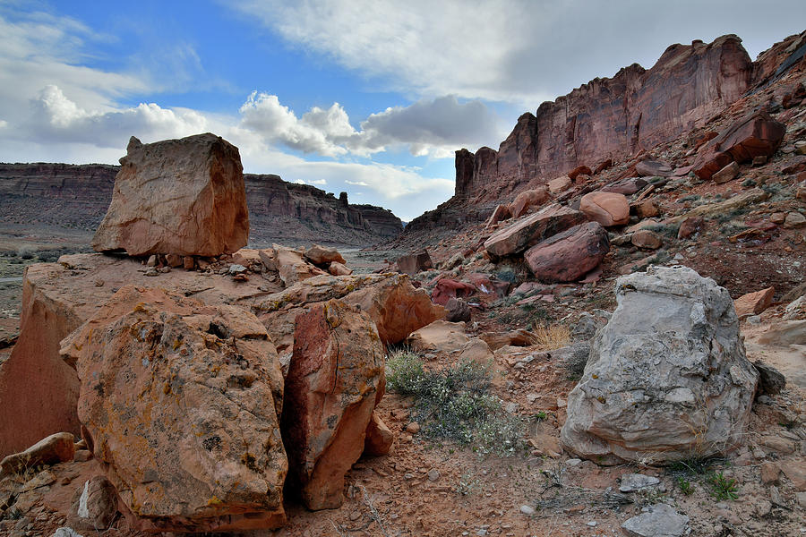 Colorful Boulder Fields along Utahs 313 Photograph by Ray Mathis