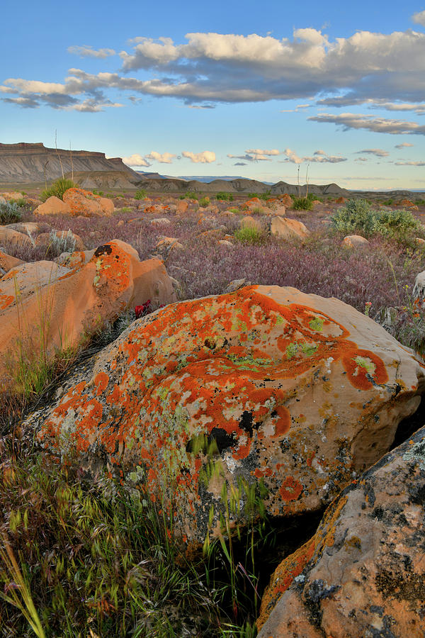 Colorful Boulders and Clouds of the Book Cliffs Photograph by Ray Mathis