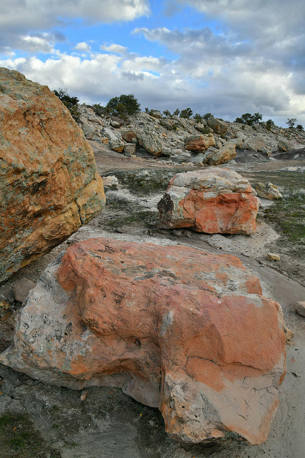 Colorful Boulders in BLM Bentonite Site Photograph by Ray Mathis