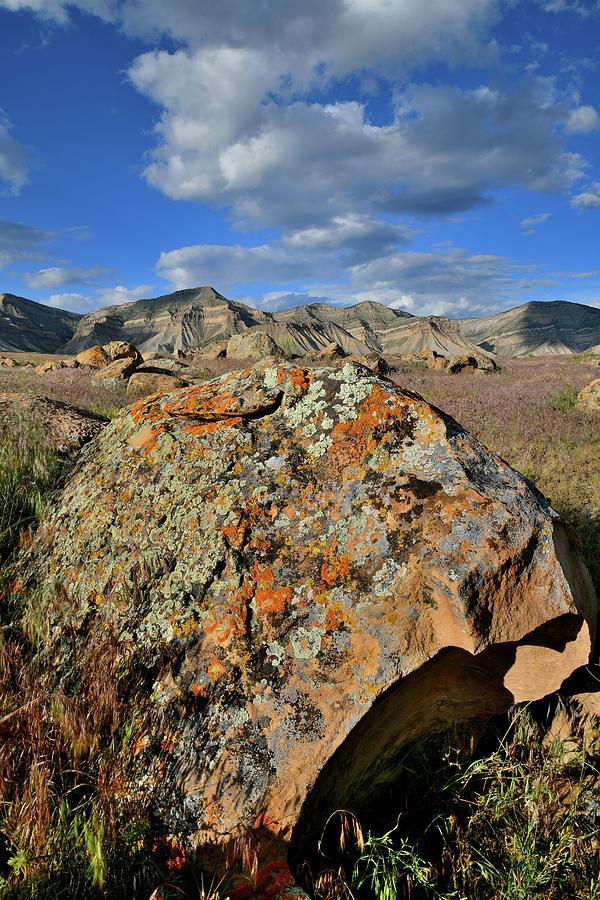 Colorful Boulders Of Book Clifrs Photograph