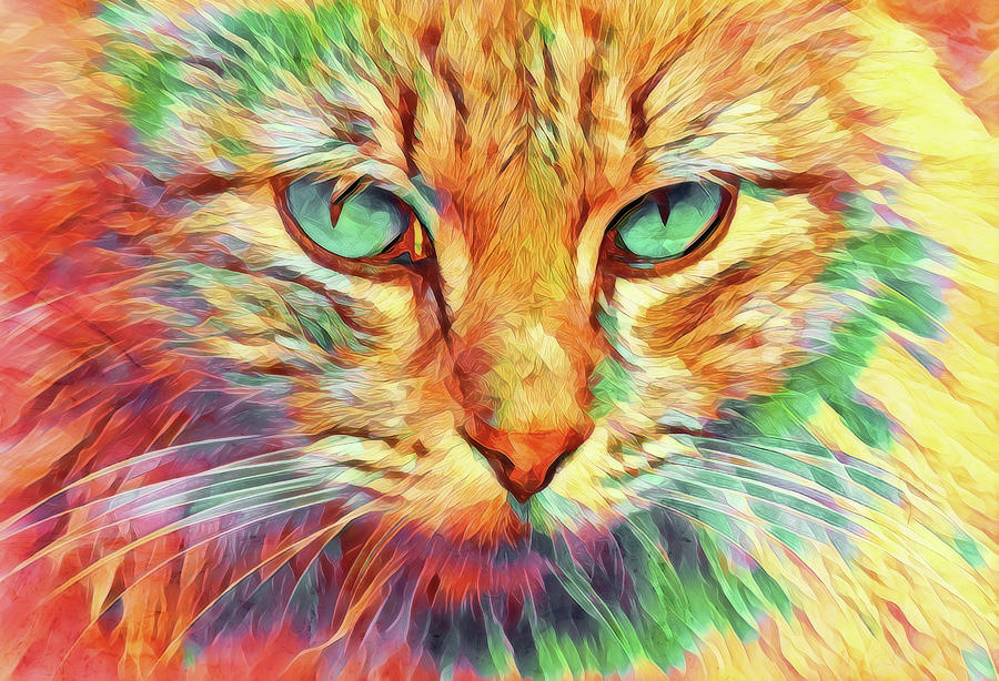 Colorful Cat 1 Digital Art by Terry Davis