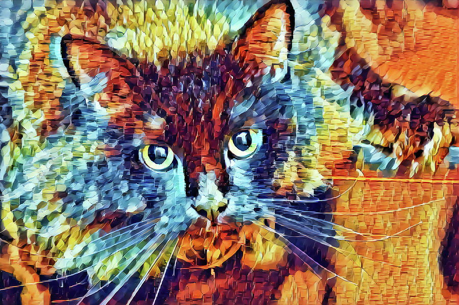 Colorful cat Abstract Digital Art by Don Northup
