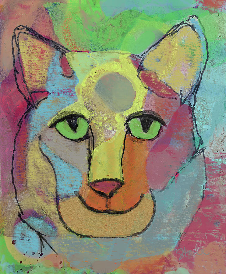 Colorful Cat Face Digital Art by Susan Stone - Fine Art America