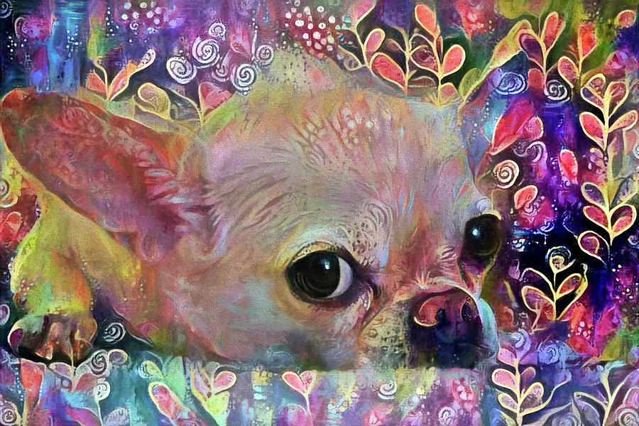 Colorful Chihuahua Dog Art Digital Art by Peggy Collins
