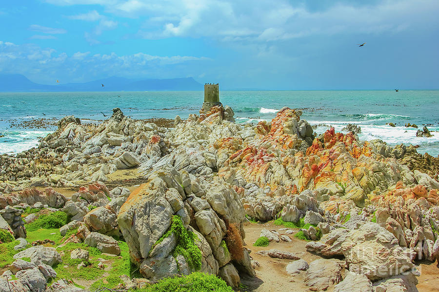 Colorful cliffs of Stony Point Photograph by Benny Marty - Fine Art America