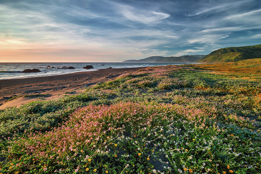 Colorful Coastline Photograph by Leland D Howard