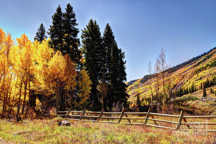 Colorful Colorado In Autumn Photograph by Jean Hutchison
