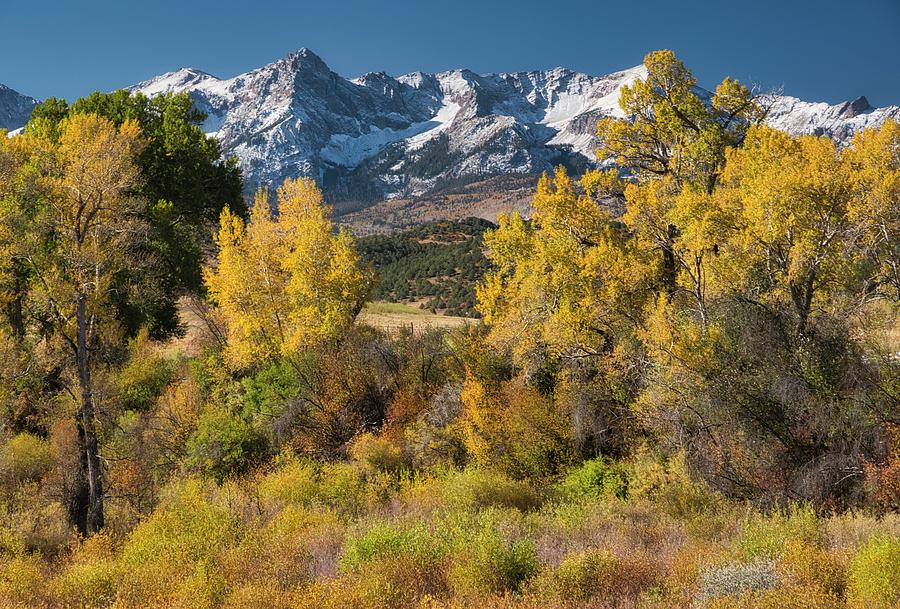 Colorful Colorado Photograph by Jane Selverstone