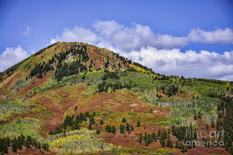Colorful Colorado Mountain Photograph