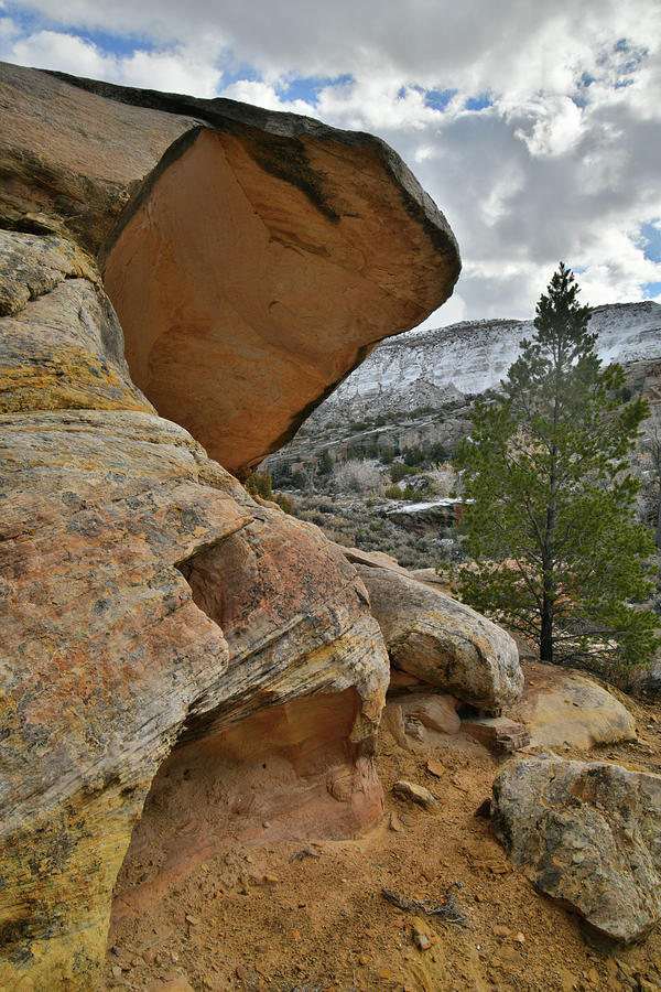 Colorful Colorado National Monuments East Side Photograph by Ray Mathis