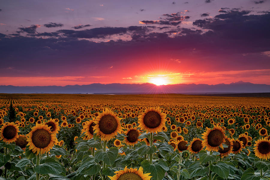 Beautiful Sunset Over the Mountains