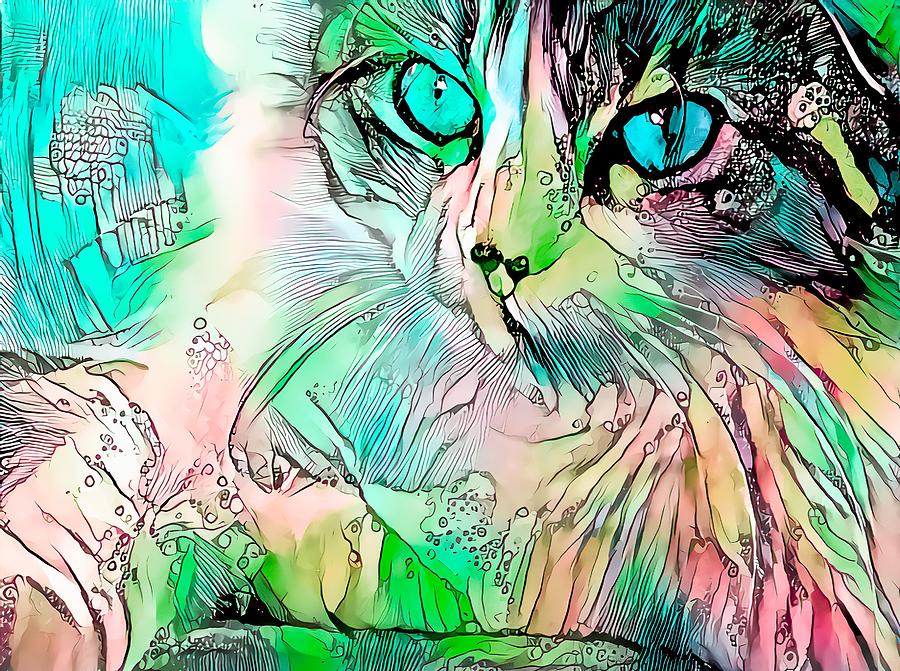 Colorful Content Cat Blue Eyes Digital Art by Don Northup