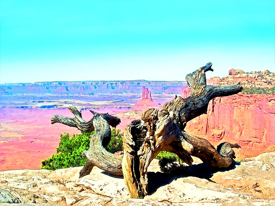 Colorful Desert Landscape Photograph