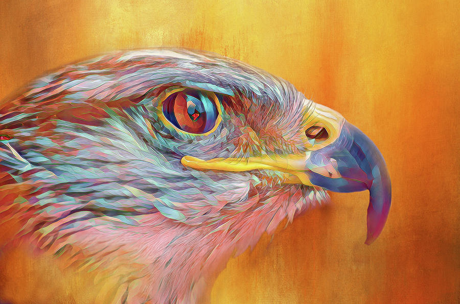 Colorful Eagle Digital Art by Terry Davis
