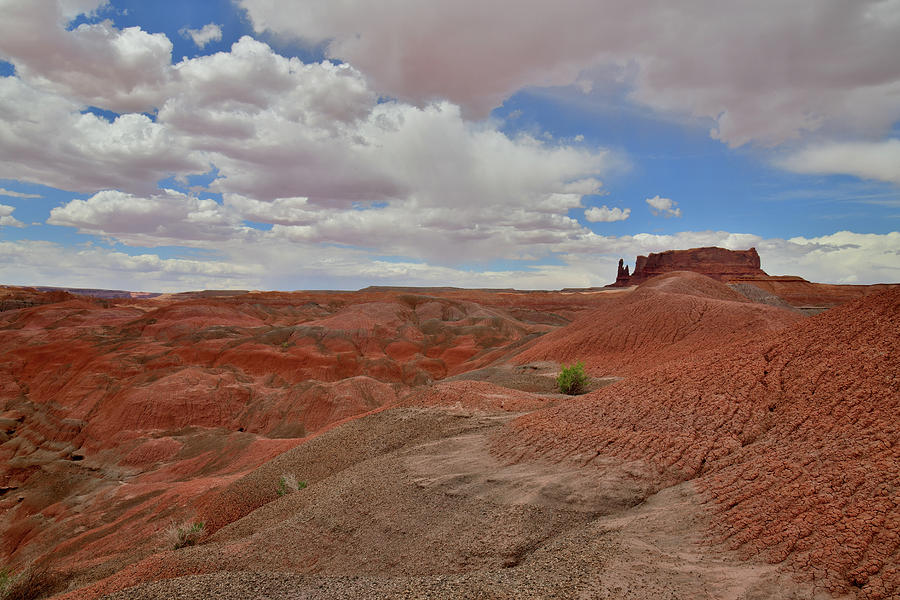 Colorful Eroded Arizona Dunes near Chinle Photograph by Ray Mathis