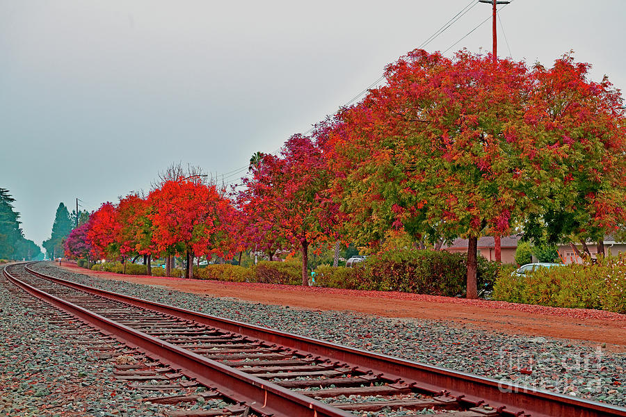 Colorful Fall along the Railroad, Cupertino Photograph by Amazing Action Photo Video
