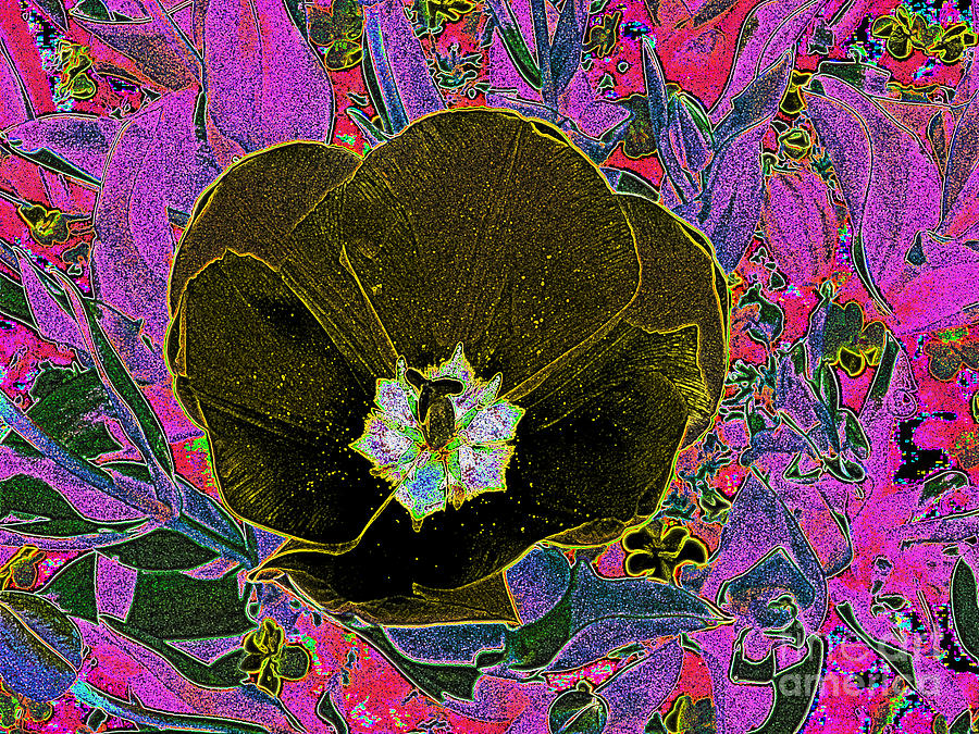 Digital Artwork Of A Colorful Flower Digital Art