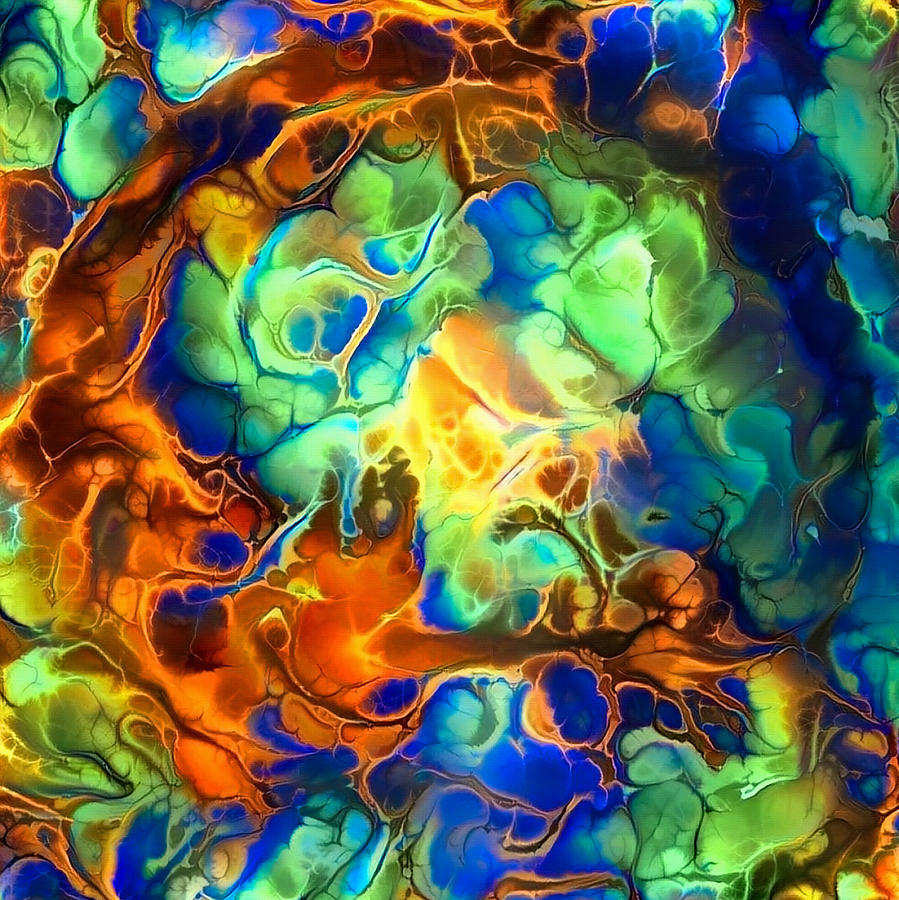 Colorful fluids Digital Art by Bruce Rolff - Fine Art America