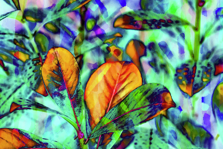 Nature Photograph - Colorful Foliage 17 by Anita Vincze