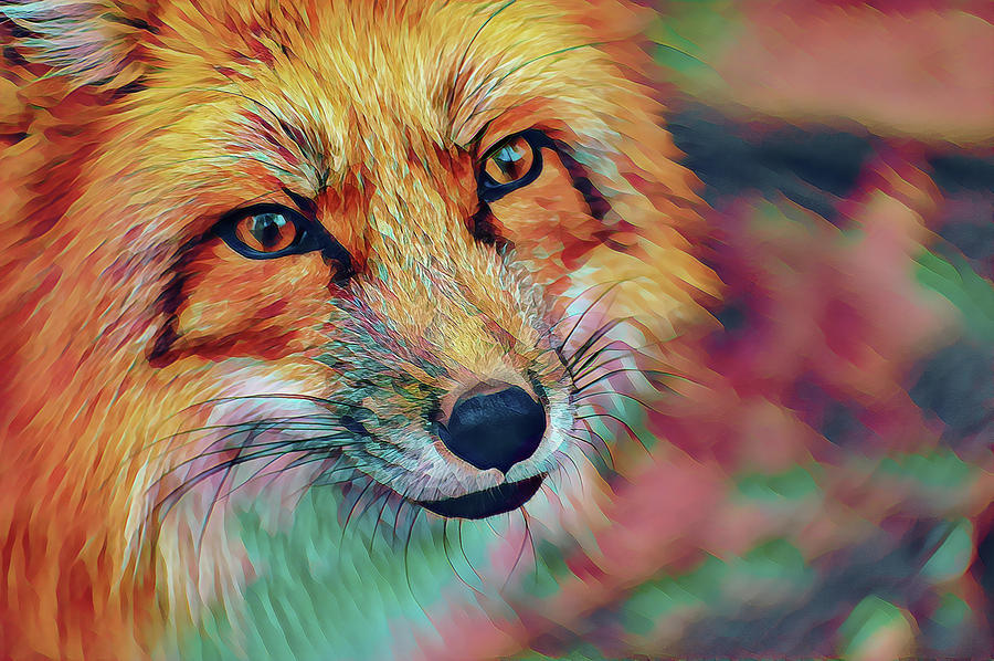 Colorful Fox Digital Art by Terry Davis