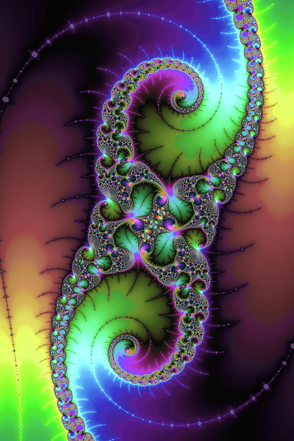 Colorful Fractal Art Jewel Color Spirals Vertical Digital Art By Matthias Hauser