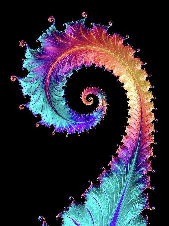 Colorful Fractal Dragon Tail Digital Art by Matthias Hauser