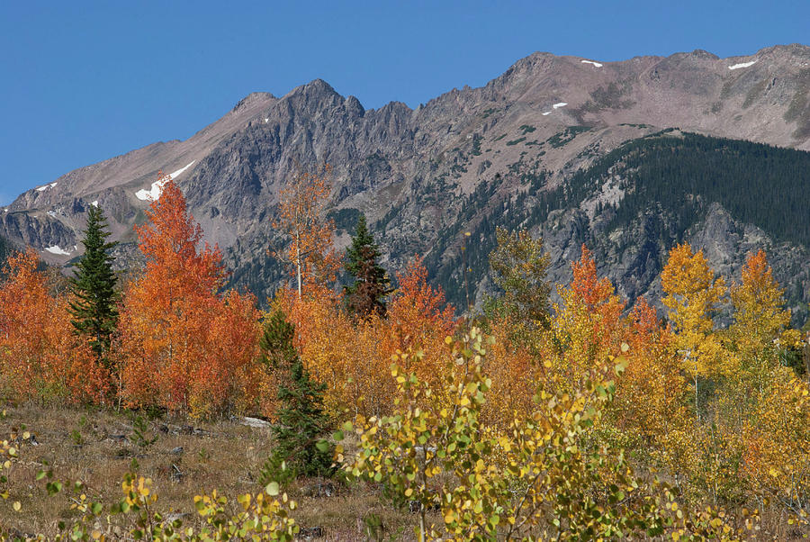 Colorful Gore Range Autumn Photograph by Cascade Colors