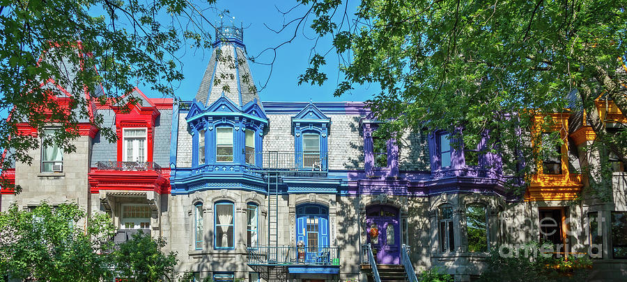 Colorful houses in Montreal Photograph by Delphimages Photo Creations