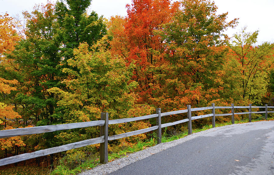 Colorful Lane by SimplyCMB Colorful Lane by SimplyCMB