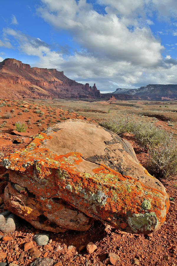 Colorful Lichen Covered Boulder and Fisher Towers in Utah Photograph by Ray Mathis
